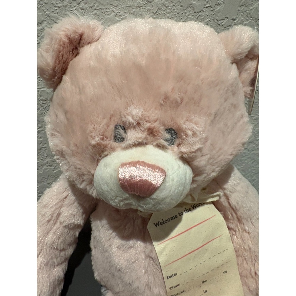 NWT DEMDACO "My First Teddy Bear" Pink 16" Plush Stuffed Animal Baby Shower Gift - Picture 2 of 11
